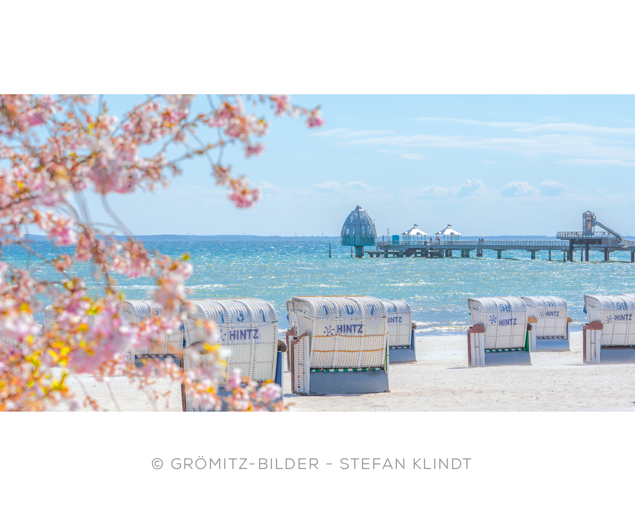 Grömitz Bilder - Kirschblüten im Wind